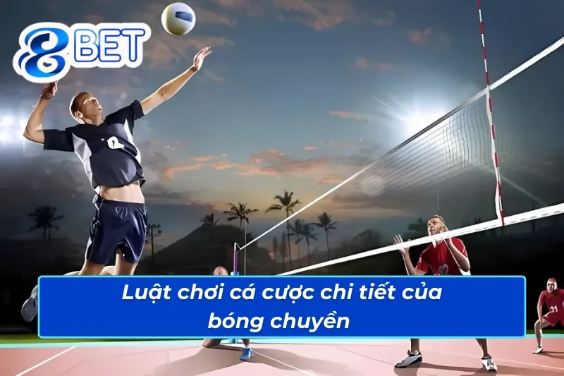 Luật cá cược bóng chuyền 88Bet đơn giản và dễ hiểu 