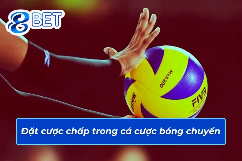 Cược chấp hấp dẫn trong bóng chuyền 88Bet  